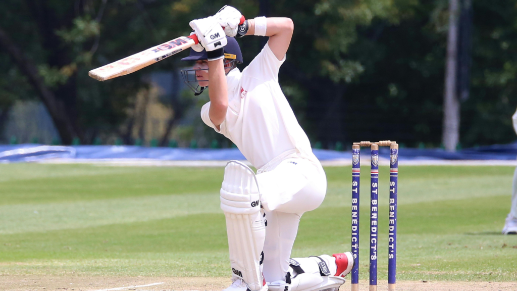 Wheon Cricket 07